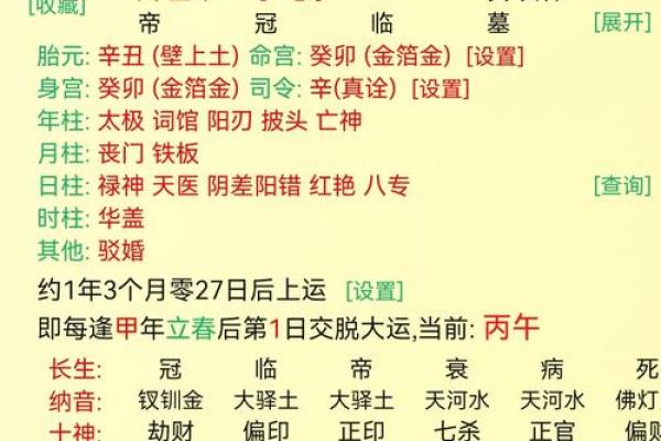 八字命宫辛亥是什么意思