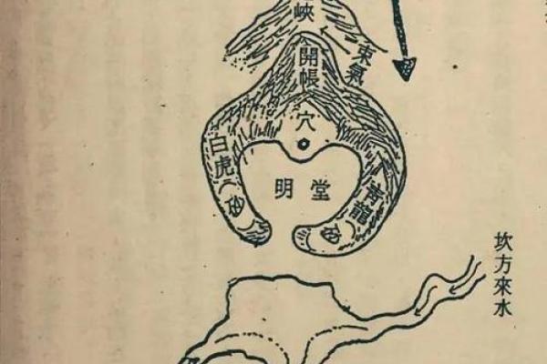 葬到风水宝地的预兆