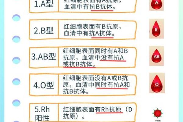 什么是血型的求爱讯号