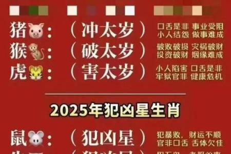 十二生肖：本命方位干净整洁，好运连连