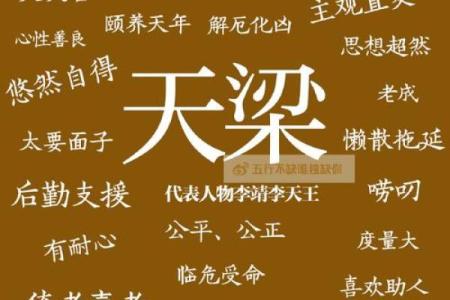 紫微斗数之福德宫与诸星，天梁星在福德宫是什么意思？