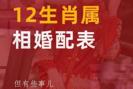 最准的12生肖配对表男龙女兔马 属相婚配男龙女兔