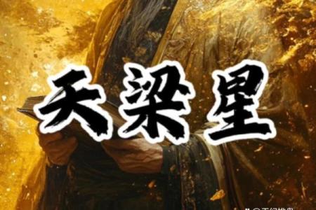 紫薇斗数天梁