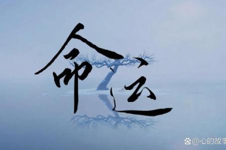 广东湛江算命