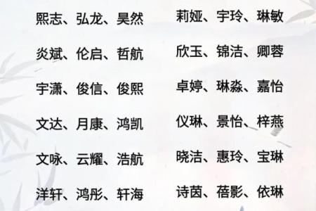 2019年3月28号子时出生的男孩如何起名姓名