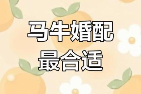 生辰八字牛配对，测算你们的最佳婚姻组合