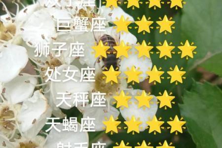 白羊座和金牛座配对指数 白羊座和金牛座配吗