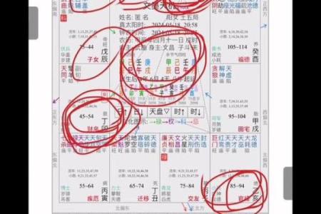 假从紫微斗数 紫微斗数实战？