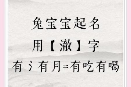 兔宝宝起名用字的禁忌-姓名学-姓名分析姓名
