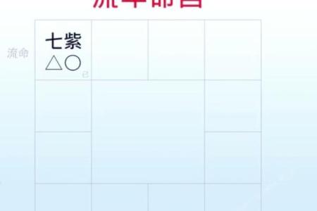 中国紫薇斗数每日运势