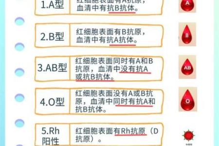 什么是血型的求爱讯号