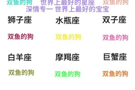 双鱼座难过时该怎么安慰 十二星座中对双鱼座最好的四个星座