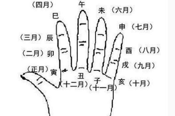 怎么用手算命