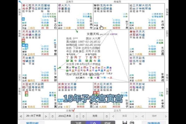 麦玲玲谈紫薇斗数