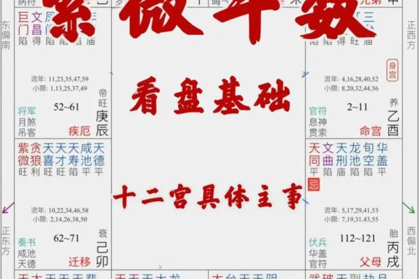 紫微斗数紫薇星落入什么宫