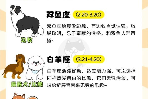 哪些狗狗属于你的星座？
