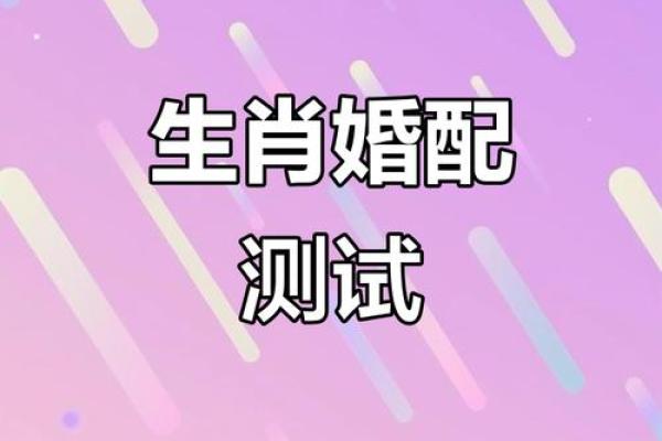 属兔的婚姻配对最佳
