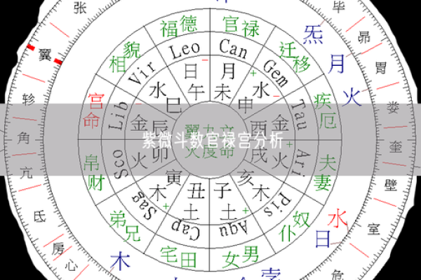 紫薇斗数斗君