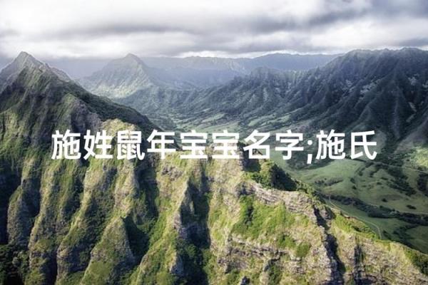 施姓男孩名字大全-施姓男孩起名字大全-施姓名字大全姓名