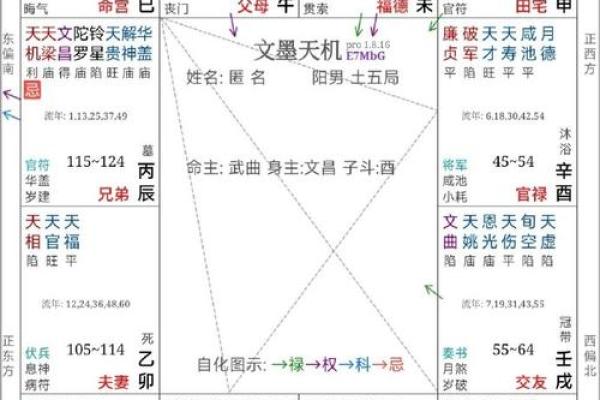 美貌男紫薇斗数