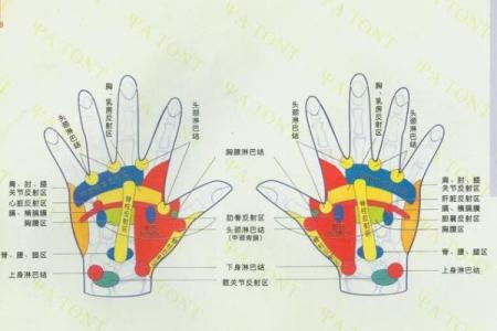 怎么用手算命