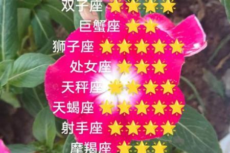 9月2日~9月8日星座运势：白羊、金牛、双子、巨蟹、狮子、处女座
