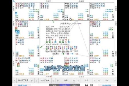 麦玲玲谈紫薇斗数