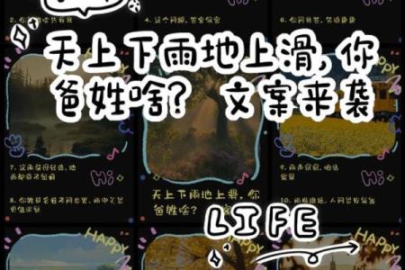 滑姓女孩名字大全-滑姓女孩起名字大全-滑姓名字大全姓名