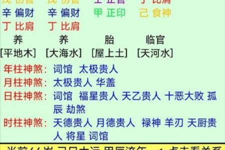 查自己的八字