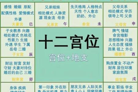 紫薇斗数算配偶