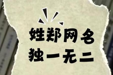 郑姓女孩名字大全-郑姓女孩起名字大全-郑姓名字大全姓名