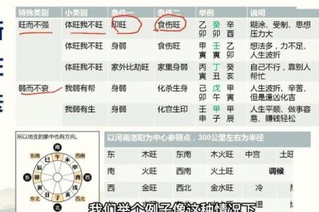 象法八字