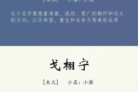 2019年5月31号寅时出生的男孩起名时要注意什么姓名