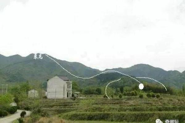 下山凤形风水如何在家中营造良好的风水环境