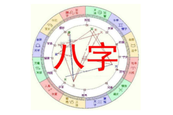国际八字排盘
