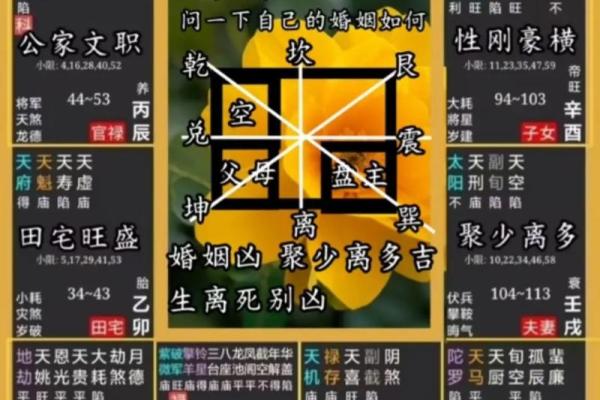 紫薇斗数盘下载