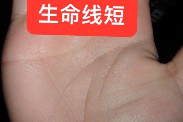 风水生命线短的人寿命短吗有什么说法