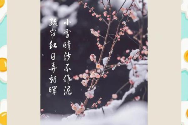 小雪节日文案 小雪节日的诗句