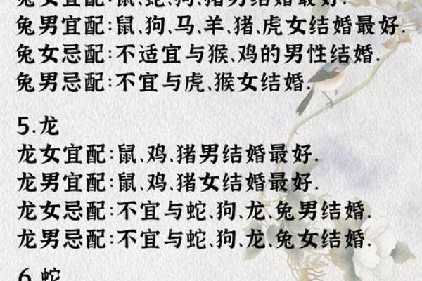 婚姻配对属龙和属马姻缘怎么样