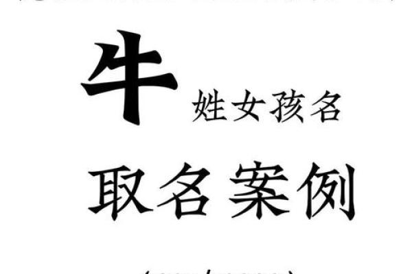 晚上12点出生的属牛男孩适合用什么字取名姓名