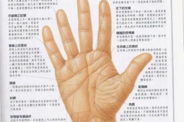 凯帝阿手相算命图解大全04