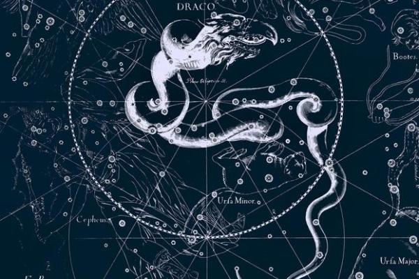 最适合环球航海的星座排名