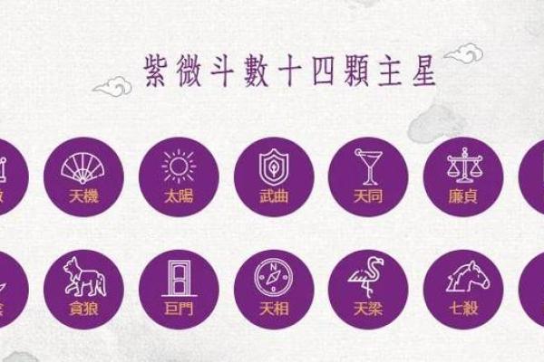 紫薇斗数兄弟代表