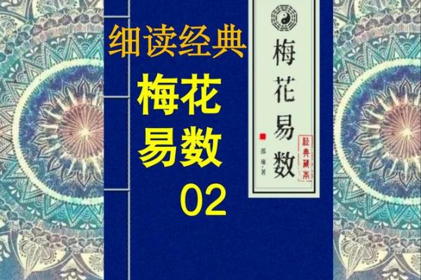紫薇斗数梅花易数