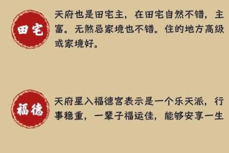 紫薇斗数是按虚岁