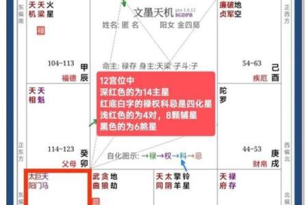 紫薇斗数算姻缘出现的时间
