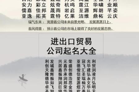 公司名字免费测试大全