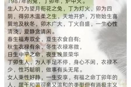 85年属什么的生肖性格 85年属什么的生肖配对兔