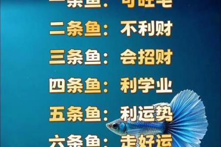 我是做生意的.怎样养风水鱼？