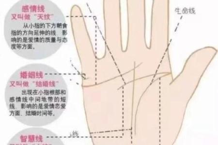 风水生命线短的人寿命短吗有什么说法